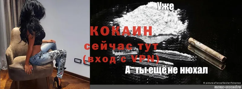 Cocaine FishScale  Бирюсинск 